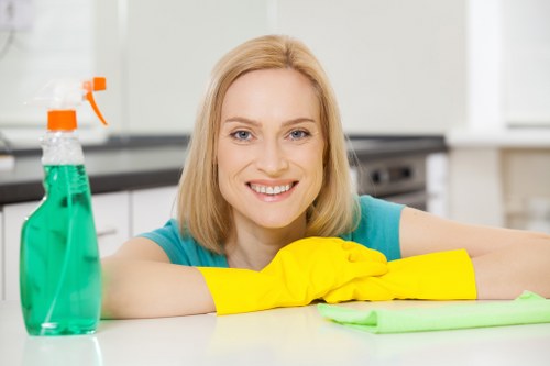 Rug maintenance service for flats, houses, and commercial spaces in Brent