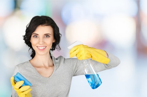 Detailed carpet care service in Brent for homes and businesses