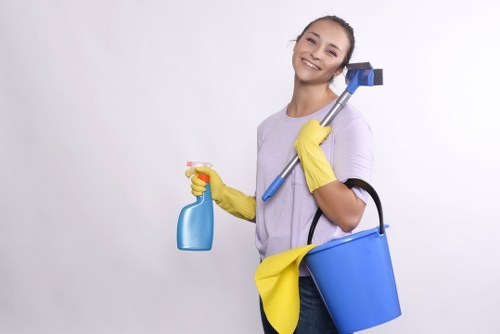 Cleaner preparing a tidy domestic cleaning service in a Brent home