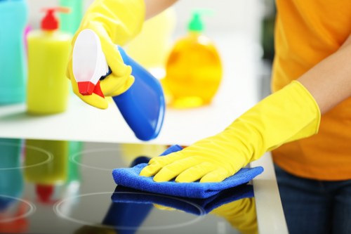 Recurring cleaning checklist for residential and commercial properties in Brent