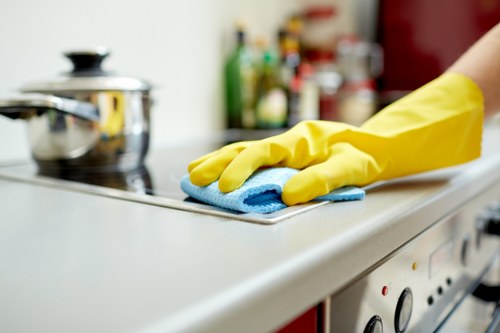 Kitchen deep cleaning before tenancy handover in Brent